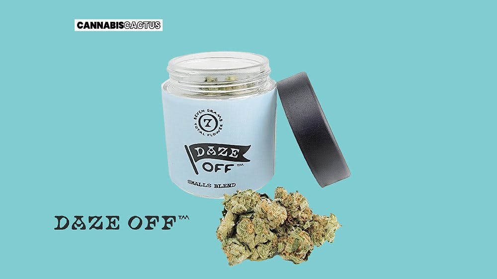 Daze Off Special Shelf Daze Off Special Delivery (H) - Star Buds