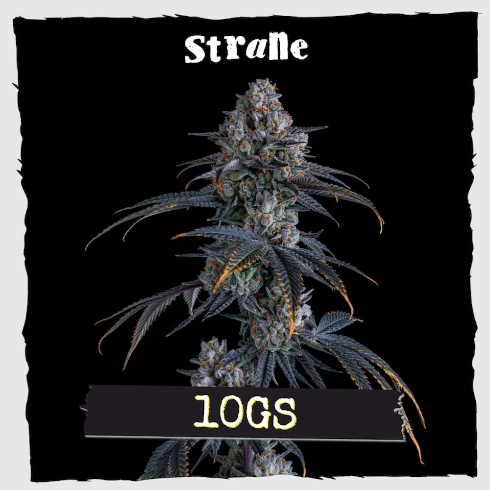 Product Strane - 10G's Flower (3.5g)