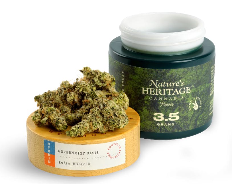 Product: Govermint Oasis