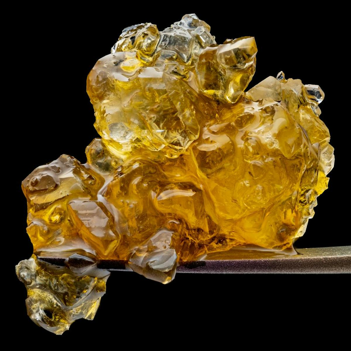 Photo of Green Dot – Black Label FSE – The Sweet Spot (H)