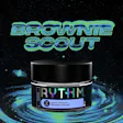 B Scout