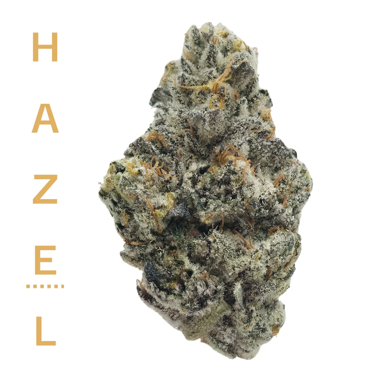 Hazel E85 3.5g 1/8oz Flower | Hazel |