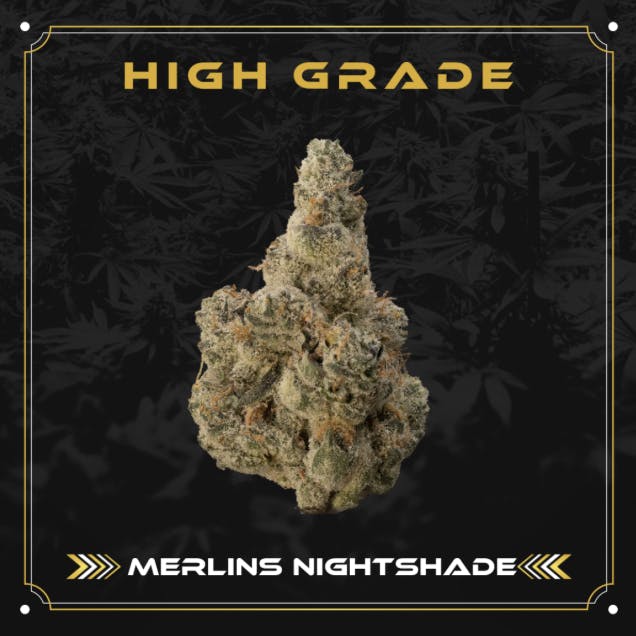 Product: High Grade | Bulk Bud - Merlin's Nightshade