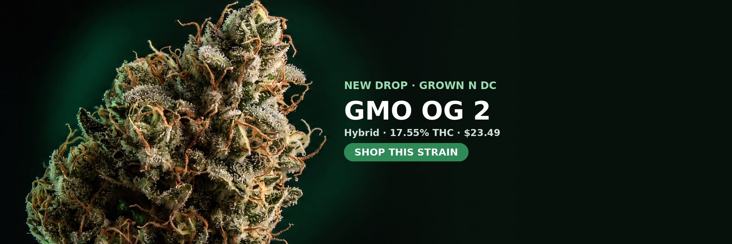 GMO OG 2 now in stock at MrGreen DC — 17.55% THC