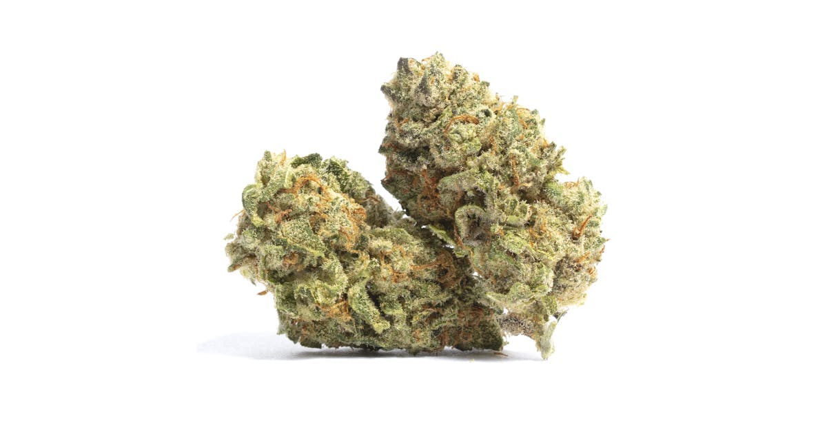 Photo of Zandiez (Eugreen)
