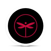 Dragonfly Logo