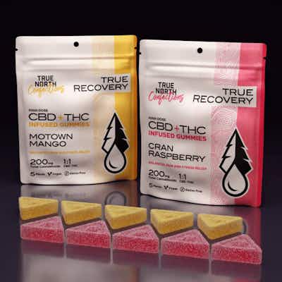 Product: True North Confections x Five Star Extracts | Vegan Cran Raspberry  THC:CBD Gummies 5pc | 100mg:100mg
