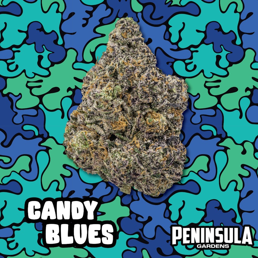 Peninsula Gardens | Candy Blues