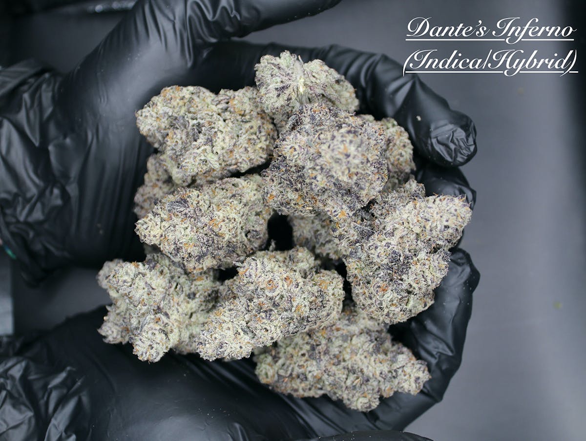 Photo of Coastal Healing Dante’s Inferno 3.5g