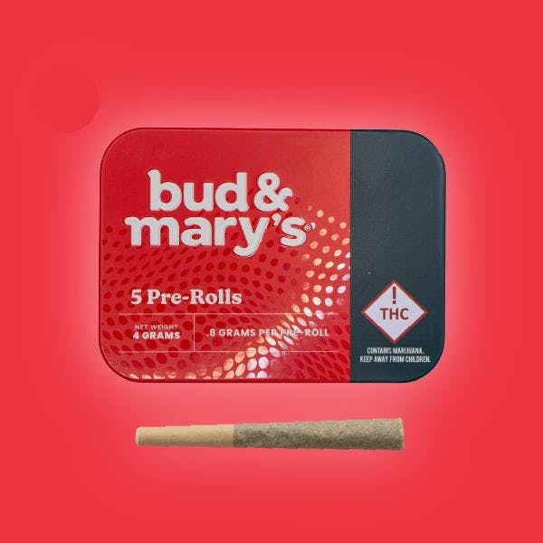 Joint Pack - Cookie Batter | Trees