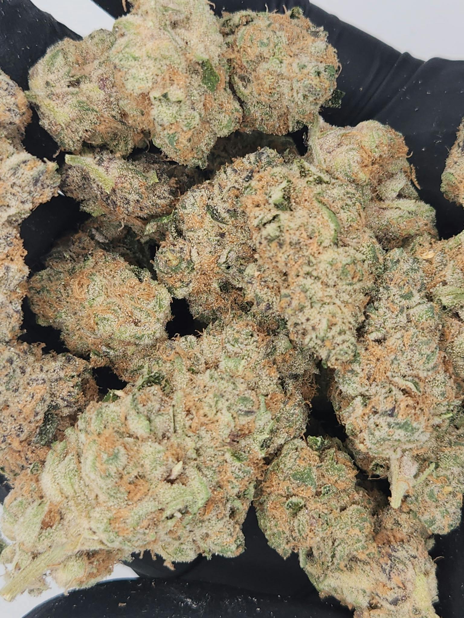 KAI | Bulk Bud - Superboof