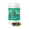 Photo of Shine – Baklava 3.5