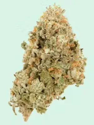 The Classics Vol.2 | Super Lemon Haze | The Tank | 1g