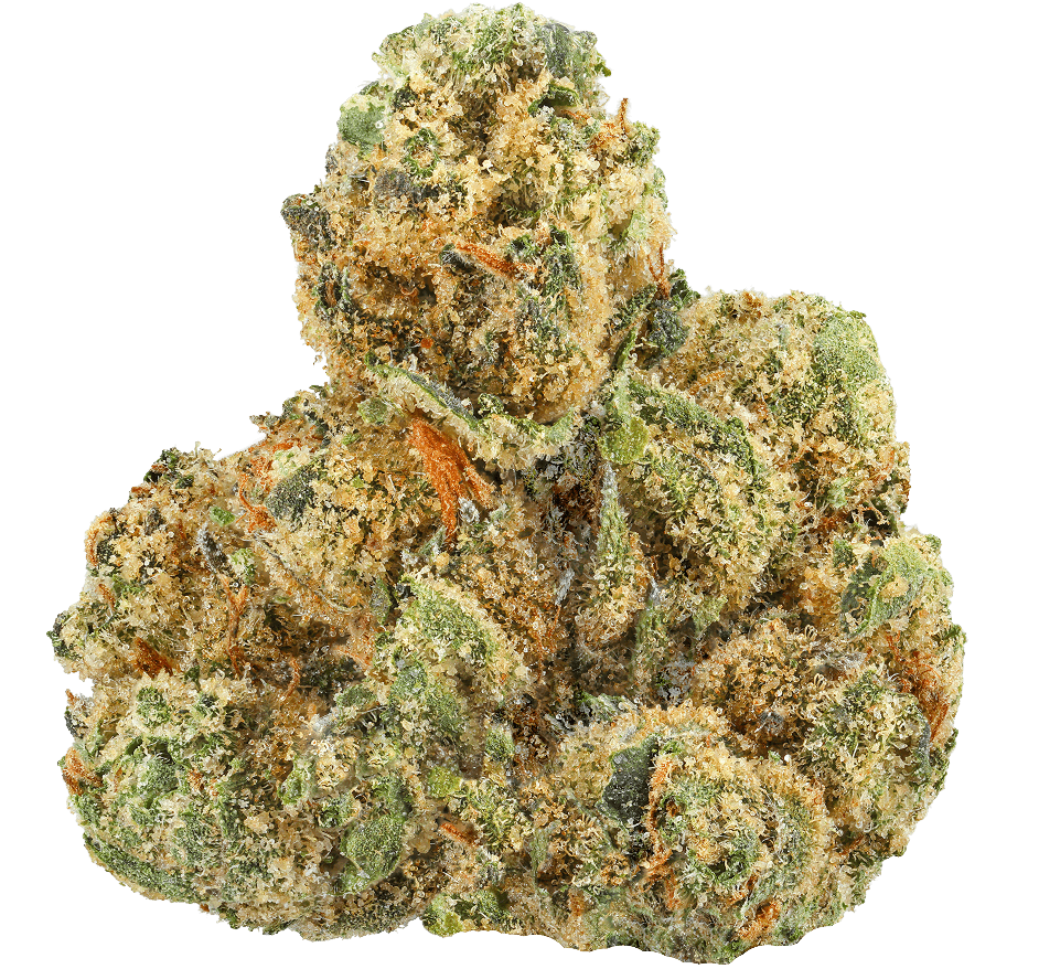 Bowhouse BOW HOUSE | WATERMELON RUNTZ | PREPACK INDICA — FLOWER