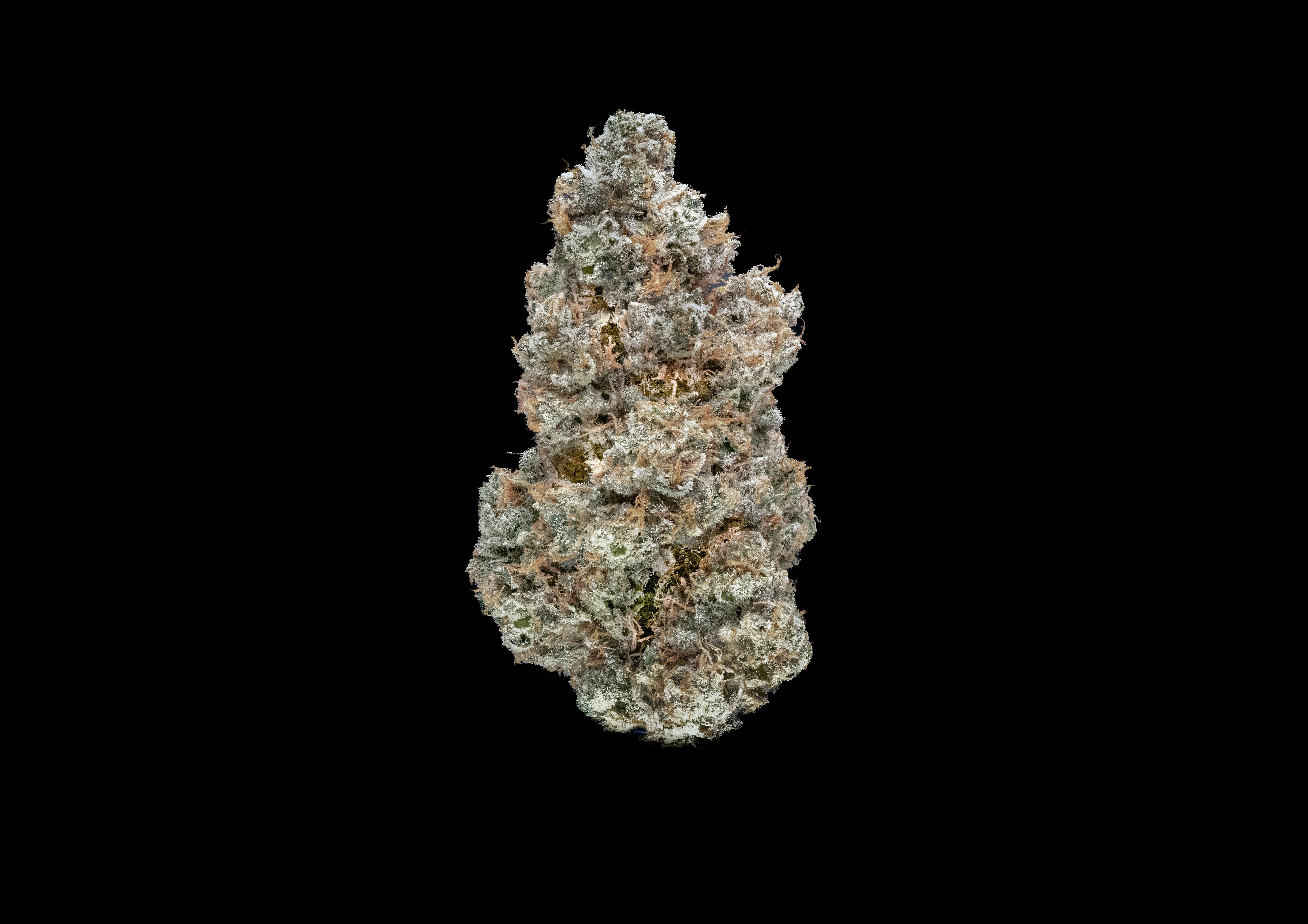 Head Stash Flower Sugar Shack 5 Strain East boston, MA Happy Valley