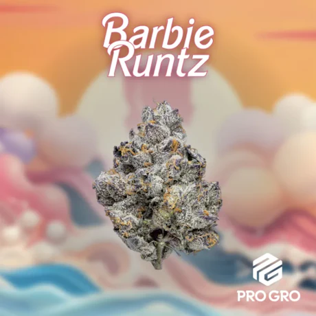 Barbie Runtz Deli - product image at King of Budz