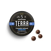 Product Blueberry Bites | Chocolate 20pk