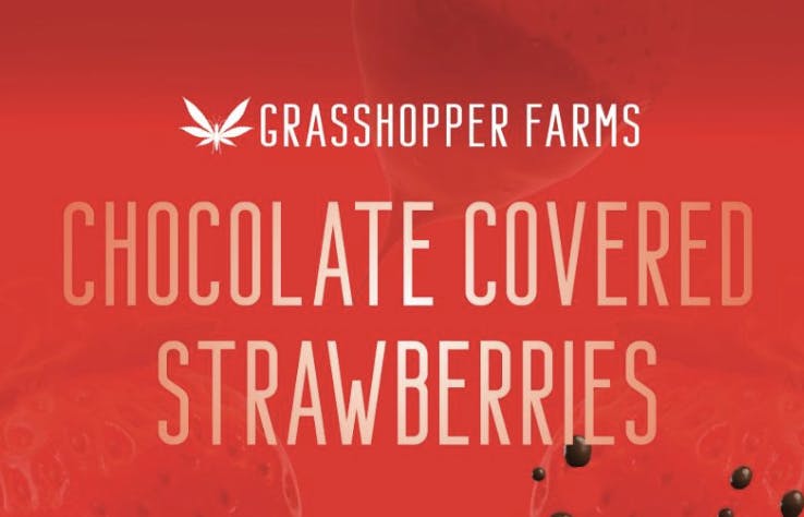 Grasshopper Farms | Infused Pre-Roll - Chocolate Covered Strawberry - 1g