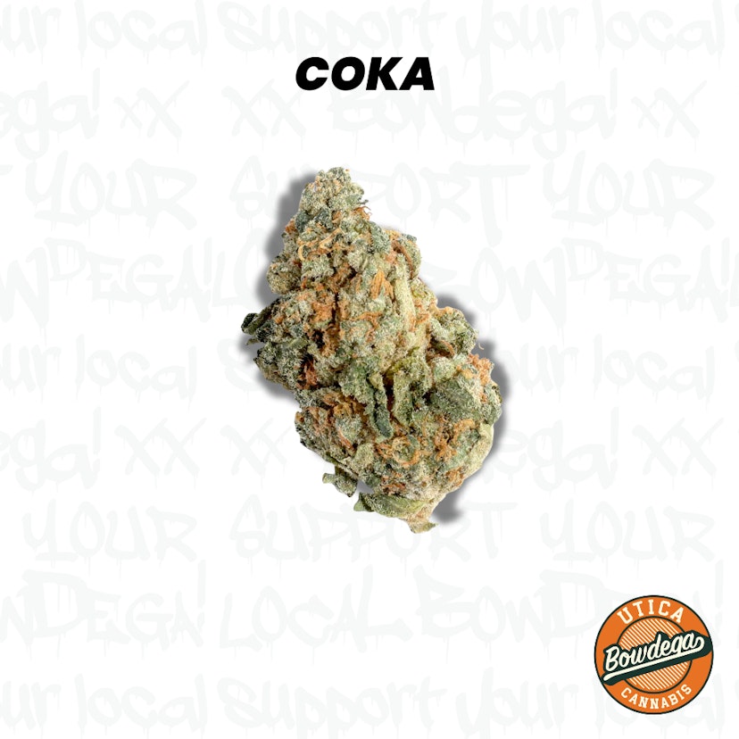 Bowdega | Coka