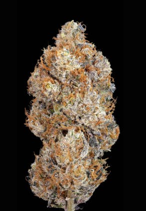 Jar Jar Stinks | MI LOUD