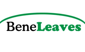 Beneleaves RSO - Capsules 10pk