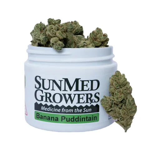 SunMed Banana Puddintain Flower-2