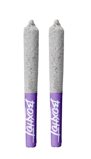 Boxhot - Tangerine Scream THCA Diamond Infused Pre Rolls