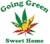 dispensary logo