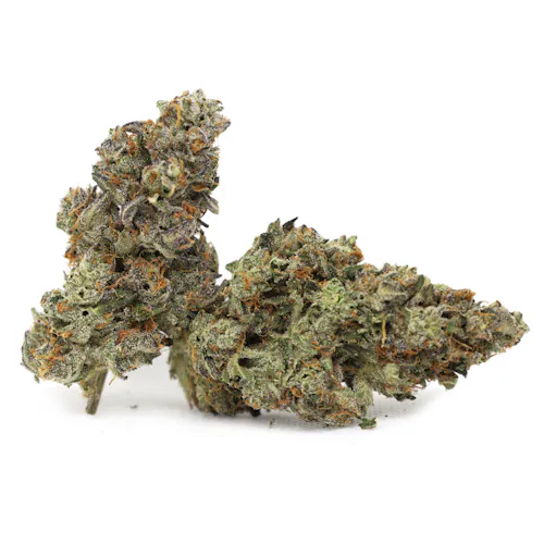 Haupia Buns – Pakalolo-active