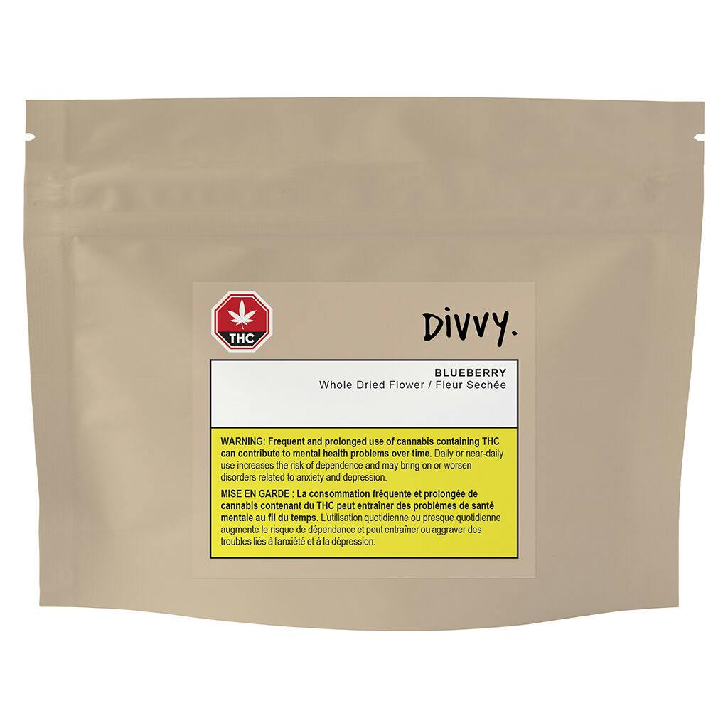 Divvy - blueberry