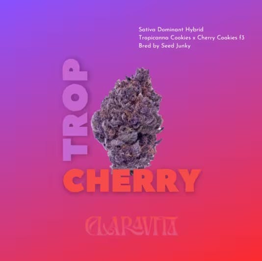 Claravita - Pre-Roll (Cannon) - Trop Cherry