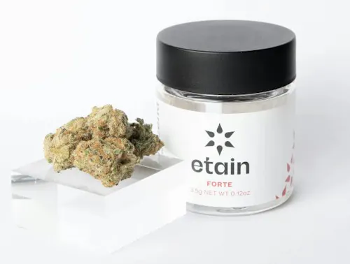 Etain Stay Puft Forte Flower 3.5g-1