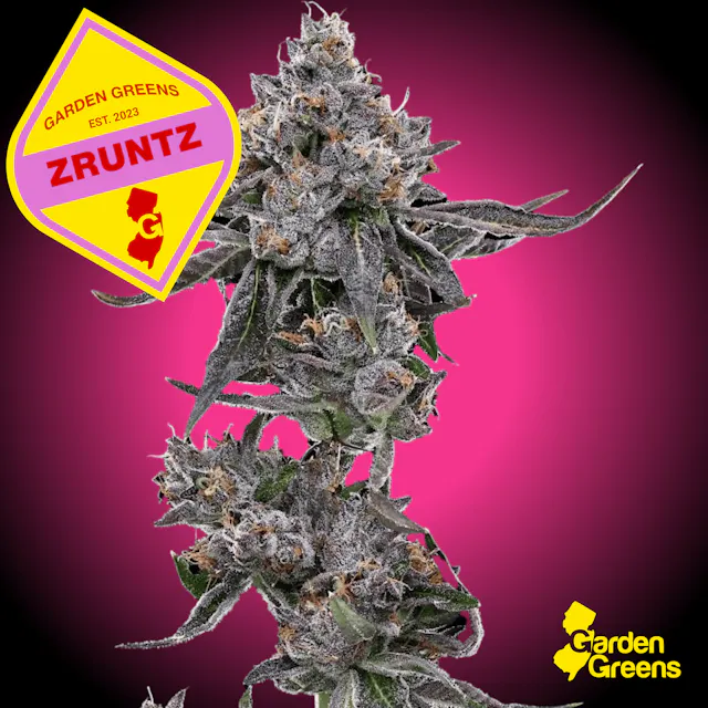 Garden Greens Big Buds Zruntz 7g (hybrid, flower)