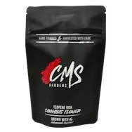 Temescal Wellness - Hudson