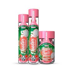 Watermelon ZKZ (I)