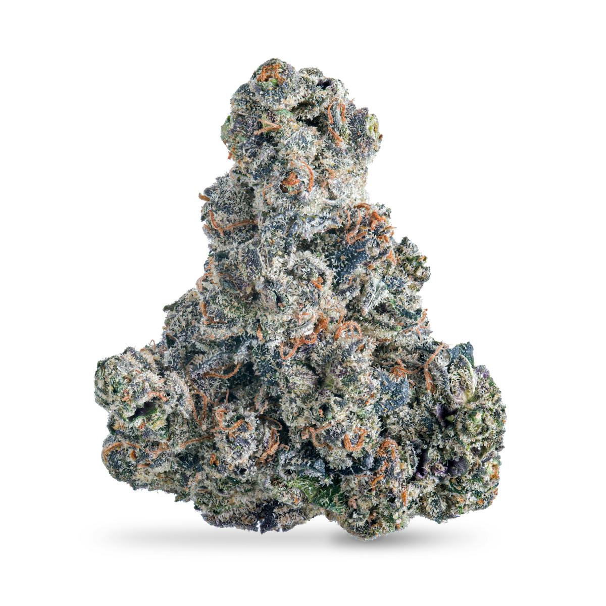 Photo of Family Ties