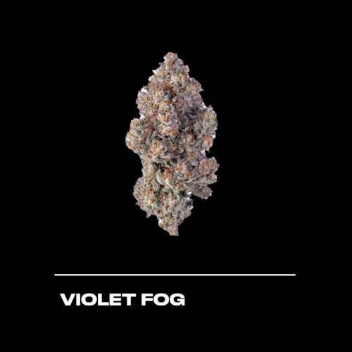 Violet Fog Flower 3.5g-2