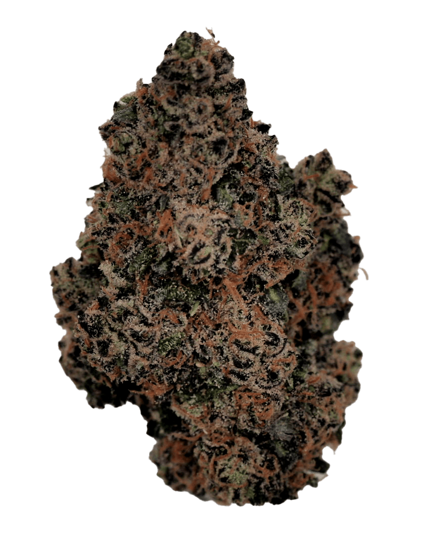 MPX Select Hash Burger Flower - 