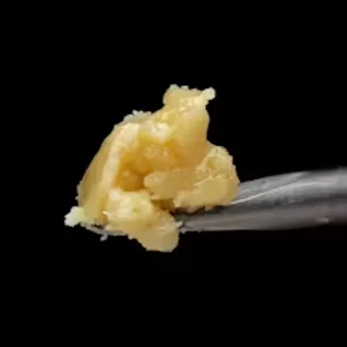 Jaunty – Live Rosin Badder – Bloomfruit – 1g-1