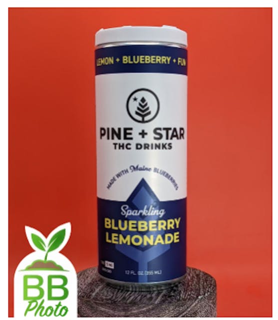 Blueberry Lemonade Sparkling Drink (H) - 5mg - Pine & Star - Image 2