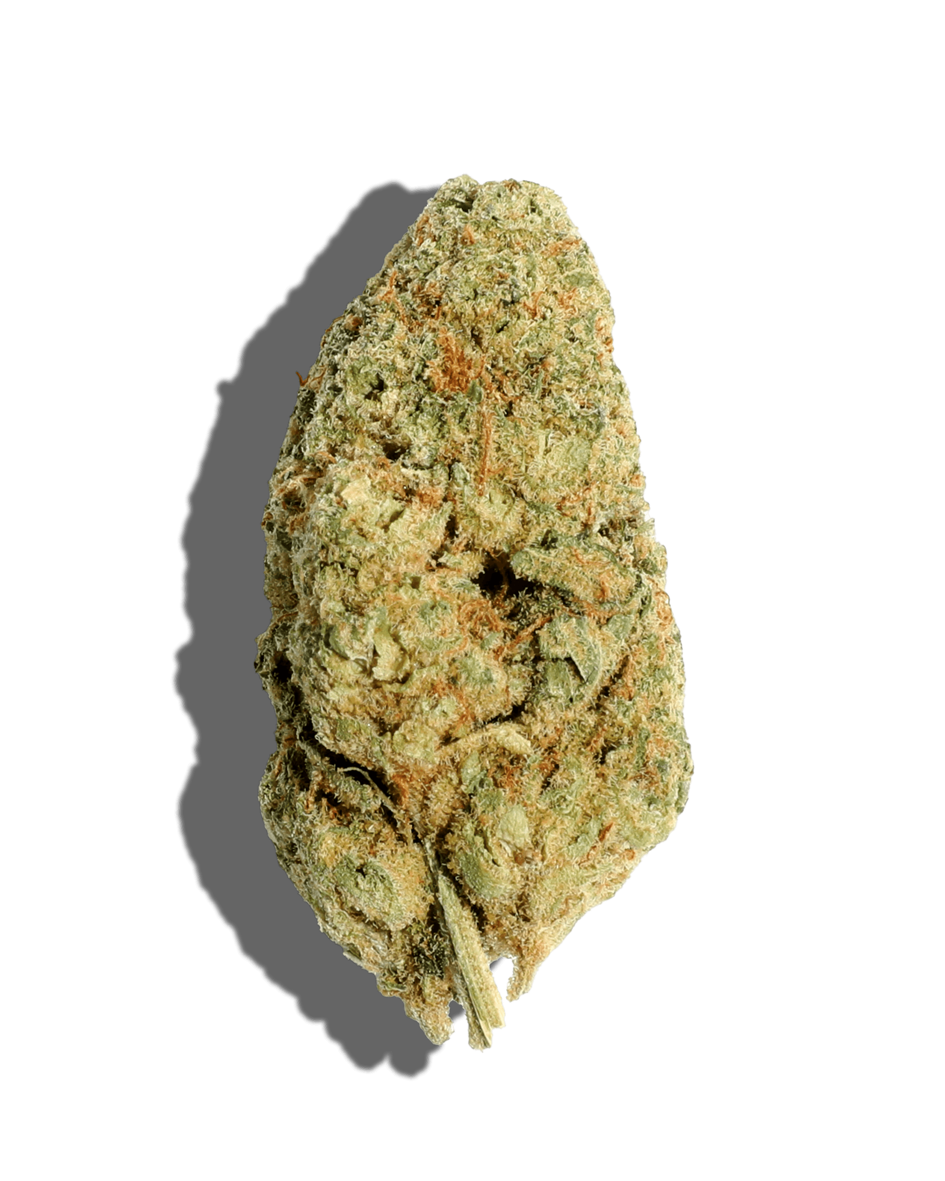 PAPAYA BX 3.5G