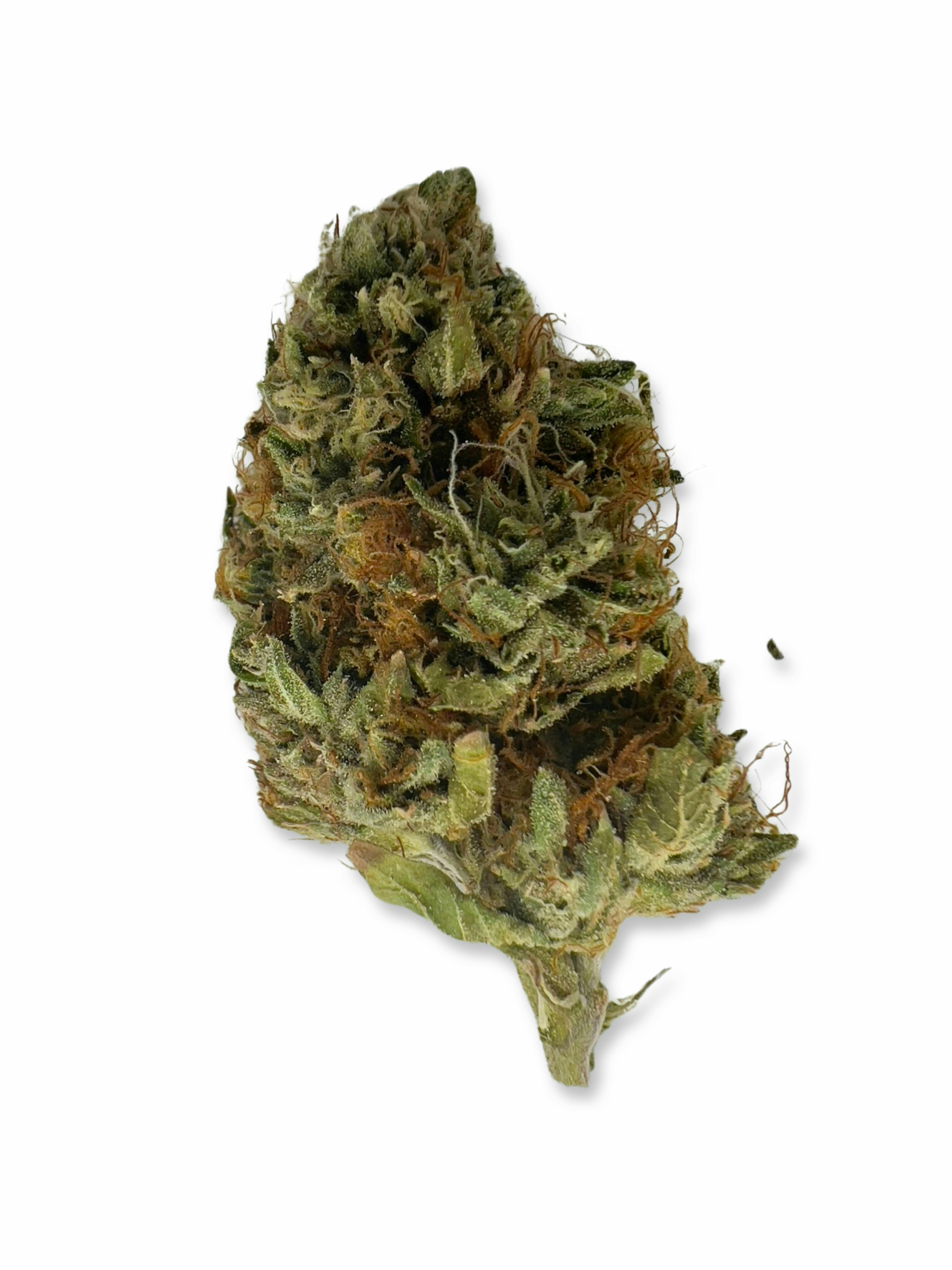 EMERALD FIRE FARMS EMERALD FIRE FARMS | DEATH COAST | BULK | HYBRID — FLOWER