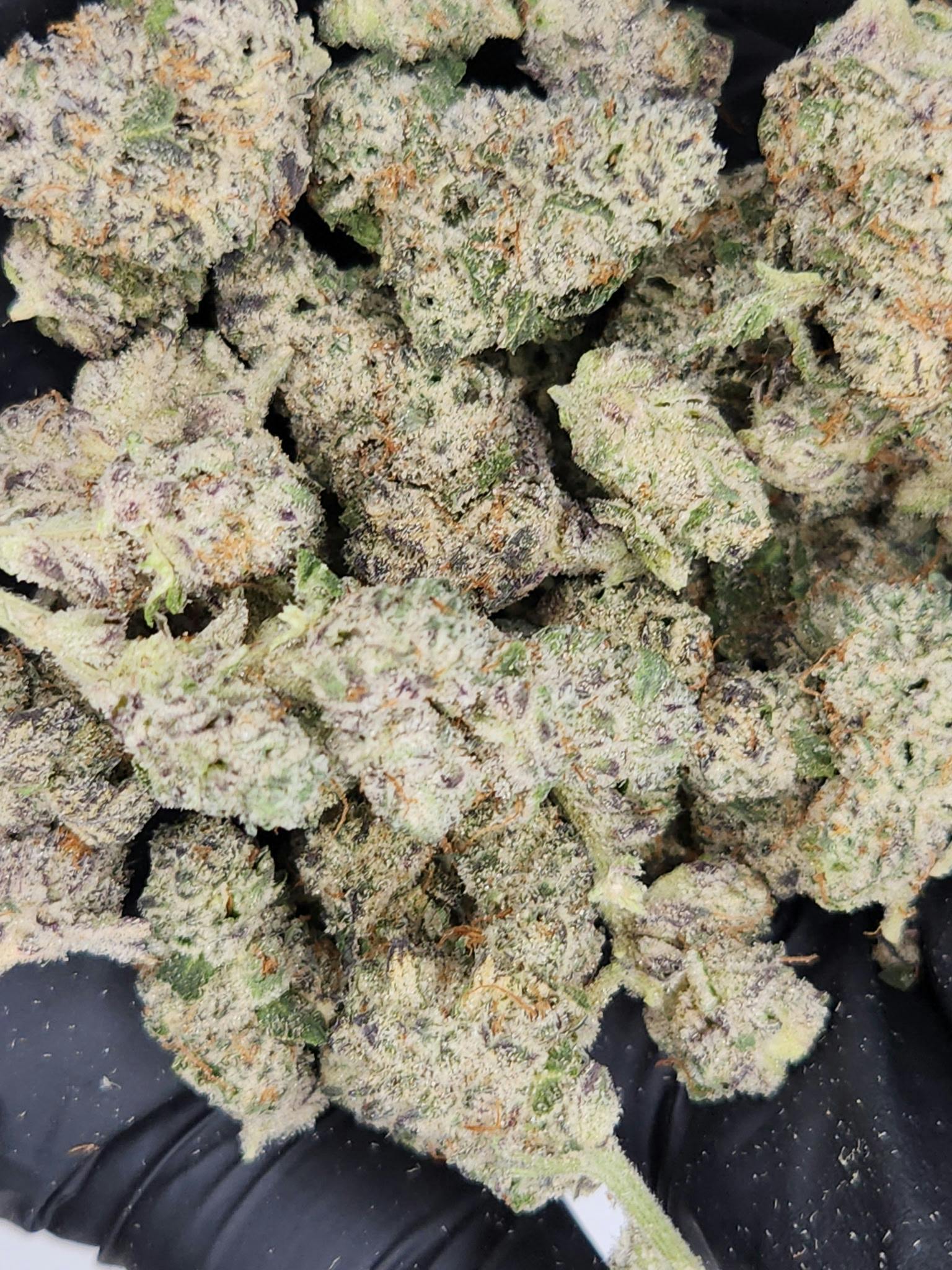Bud & Mary's | Bulk Bud - Tart Burst