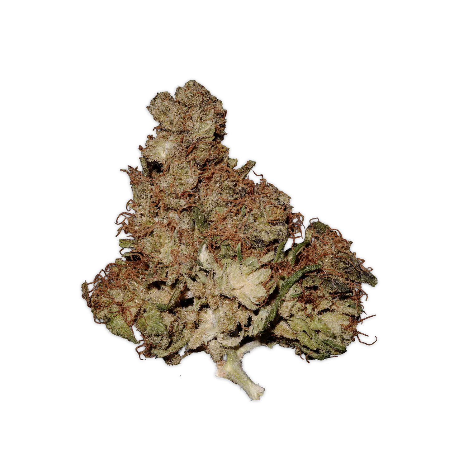 Haze - 3.5G at Terp Bros - Ozone Park