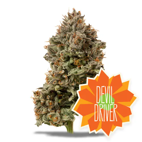 Devil Driver Flower-2