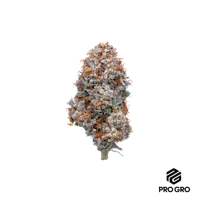 Cherry Pop Rocks Deli - product image at King of Budz