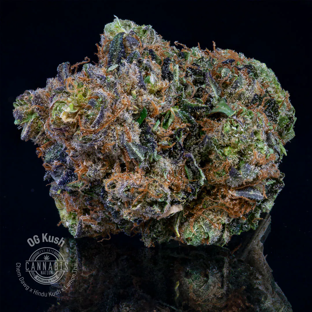 at Cannabis Nation (Gresham)