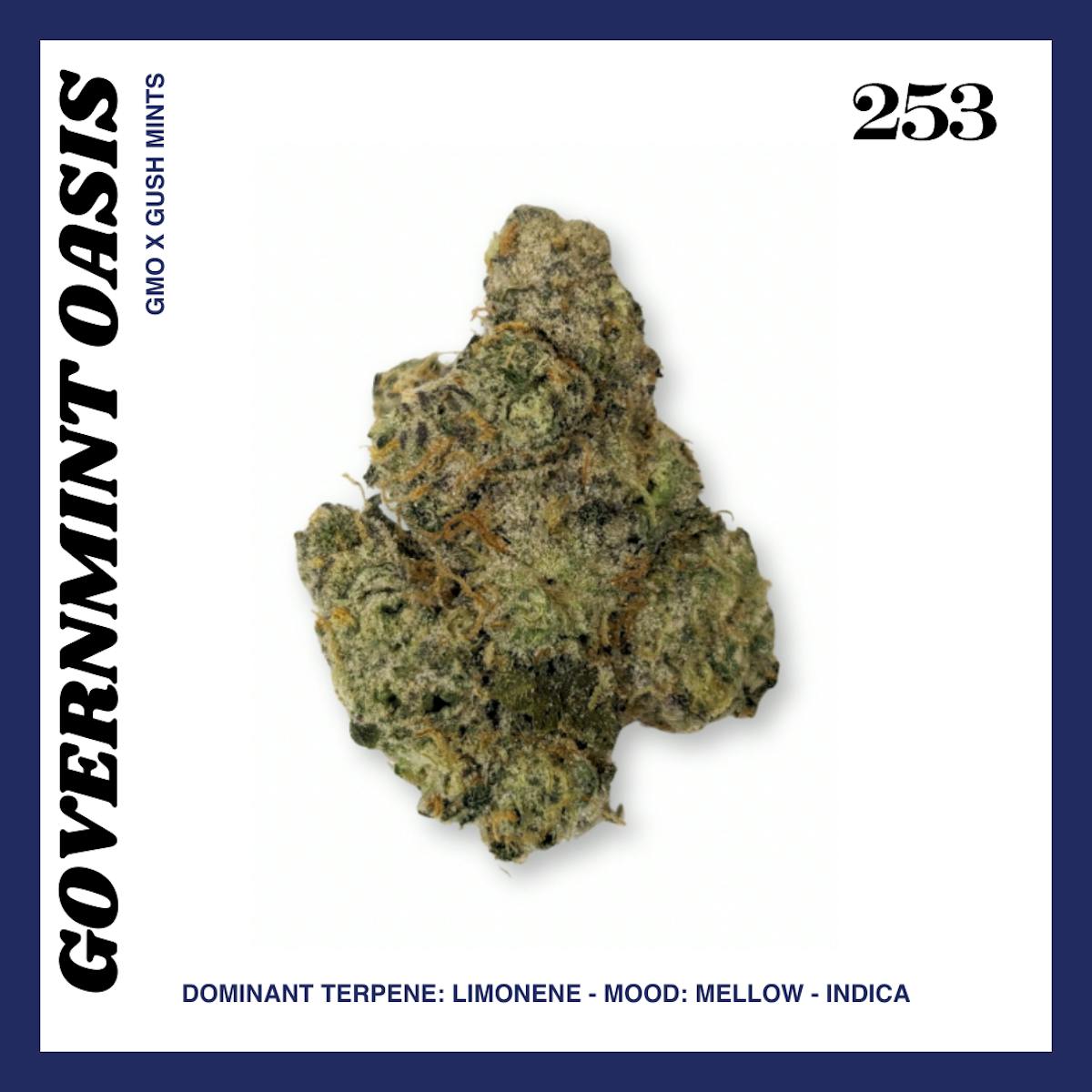 Photo of 253 | Governmint Oasis | Flower