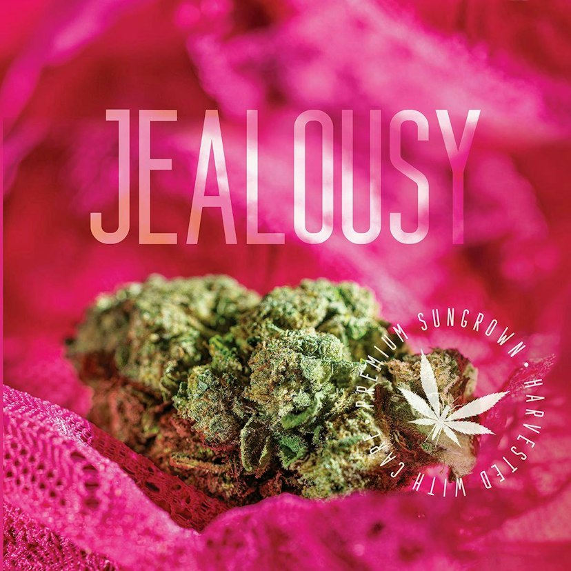 GRASSHOPPER INFUSED PRE-ROLL | JELOUSY
