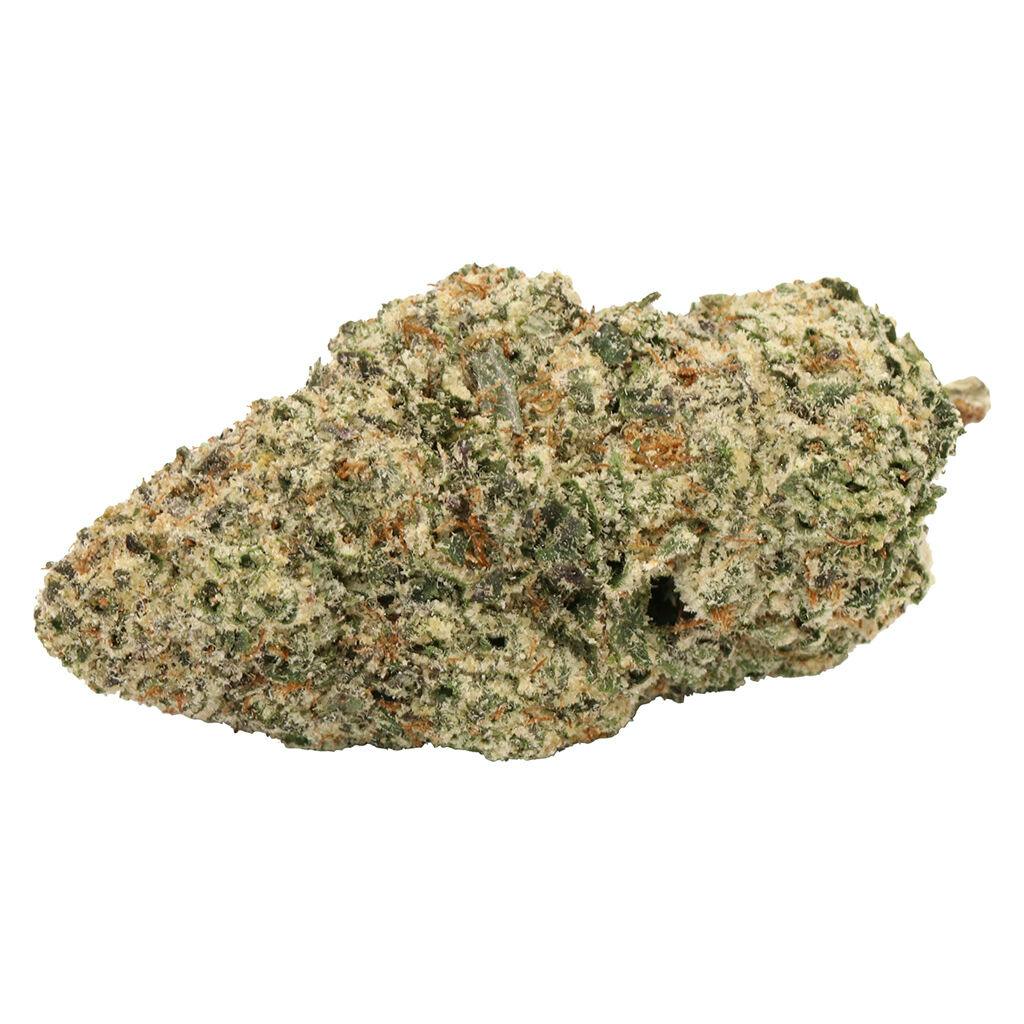 【セル版】ジンジャー・スナップス('00カナダ) Budders Cannabis - Acton